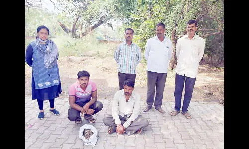 घुबडाची तस्करी प्रकरणी जत तालुक्यातील दोघांना अटक