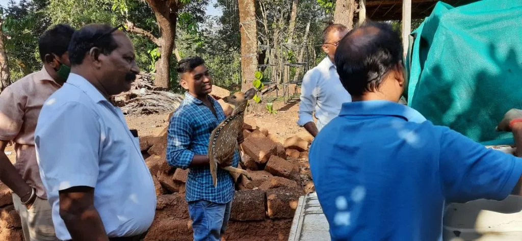 खोडये सत्तरी येथे हरणाला जीवदान