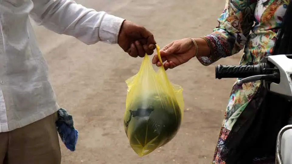 सातारा : प्लास्टिक पिशव्यांवर कारवाईची मागणी