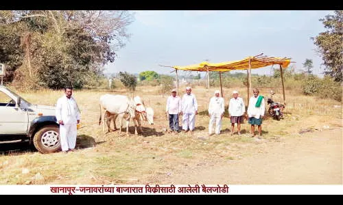खानापूर येथील जनावरांच्या बाजाराला सुरुवात