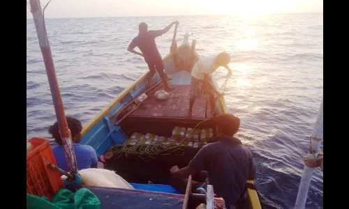 चंद्रप्रकाशामुळे सुरमई महागली