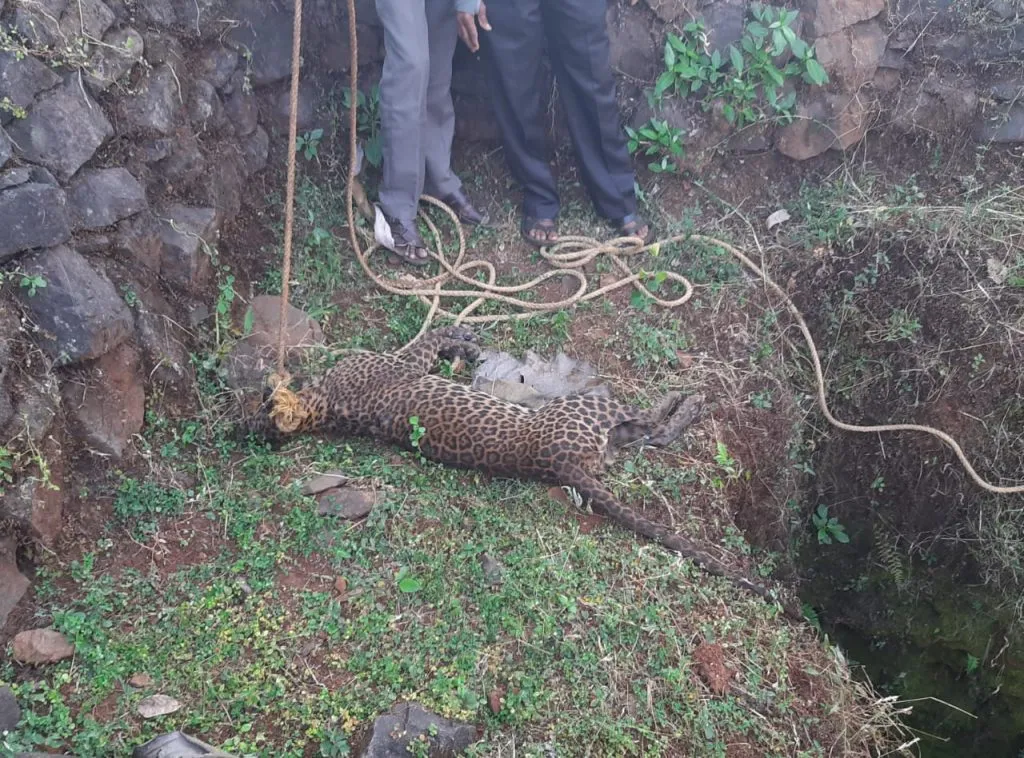 माडकर यांना मारहाणीमुळे होंडय़ात तणाव