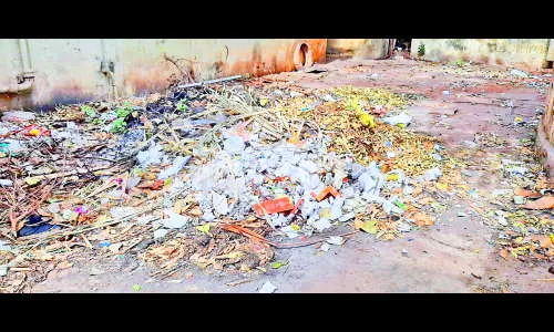 मनपाची जुनी इमारत अस्वच्छतेच्या गर्तेत