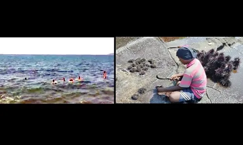 ‘मेरुळा’ नहीं खाया, तो क्या खाया?