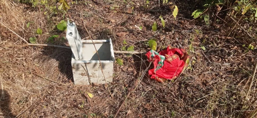 मंदिरावर चोरटय़ांचा डल्ला!