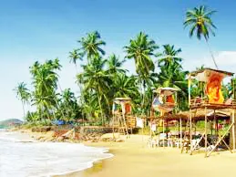 नवीन वर्षाला सामोरे जाताना…