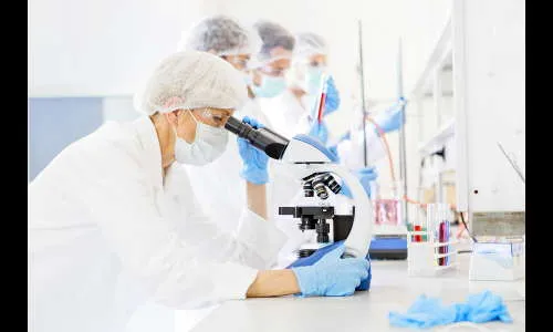 नव्या संभाव्य उपचाराची पटली ओळख