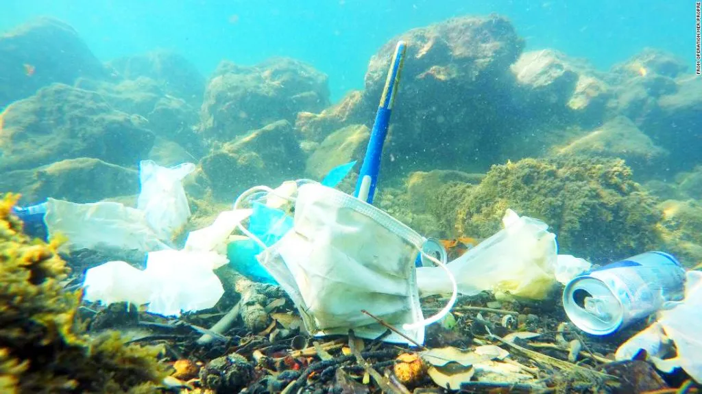 मास्कमुळे वाढले सागरी प्रदूषण