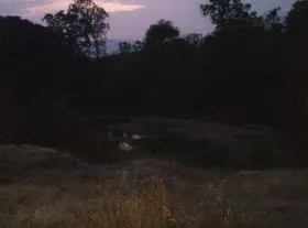 तारळे भागात वाळू तस्करांवर मंडलाधिकाऱ्यांनी टाकला छापा