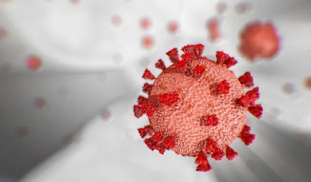 जम्मू काश्मीरमध्ये मागील 24 तासात 454 नवे कोरोना रुग्ण; 8 मृत्यू