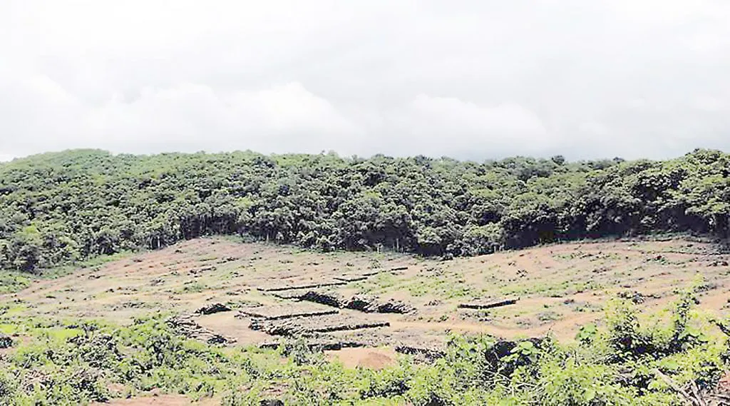 मोले वीज प्रकल्पाला न्यायालयाचा ‘शॉक’