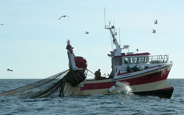 रत्नागिरी : पश्चिम किनारपट्टीवर १ हजारहून अधिक ट्रॉलर्सची घुसखोरी