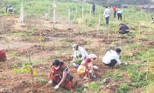 शिराळा नगरपंचायतीचा नव वर्षाचा ‘शिराळा शहर, हरीत शहर’ चा संकल्प