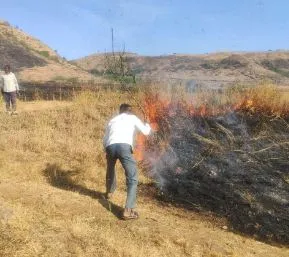 दंडोबा डोंगरावर, पाच एकरातील हजारो झाडे जळून खाक