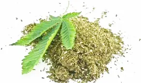 सरकारच्या मानगुटीवरील ‘गांजा’चे भूत लवकर उतरो