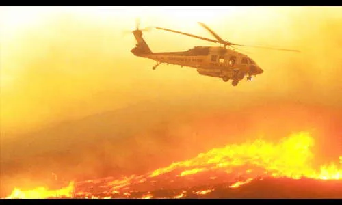 वणवा शमविण्याचे शर्थीचे प्रयत्न