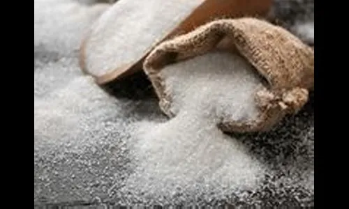 जानेवारी 15 पर्यंत साखरेचे उत्पादन 142 लाख टन