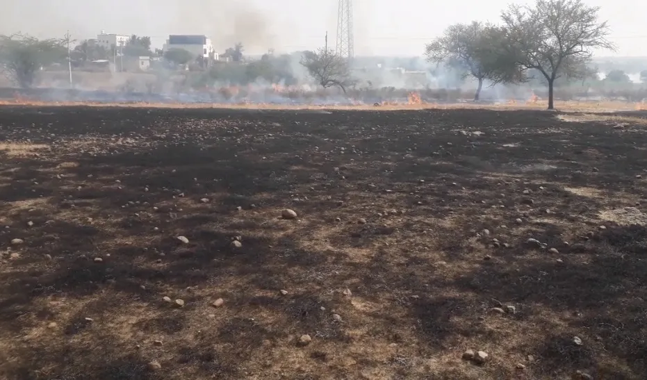 अचानक लागलेल्या आगीत १० एकर माळ रान जळून खाक