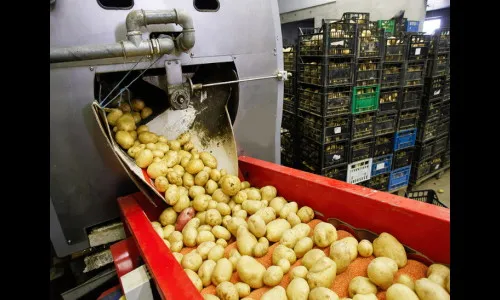 देशामध्ये 46 अन्न प्रक्रिया प्रकल्पांचा प्रारंभ