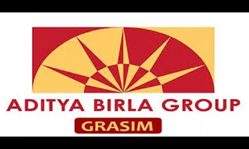 रंग उत्पादनात उतरणार ग्रेसीम