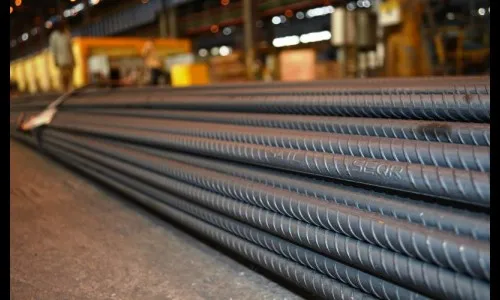 सेलमधील 10 टक्के हिस्सेदारी विकणार