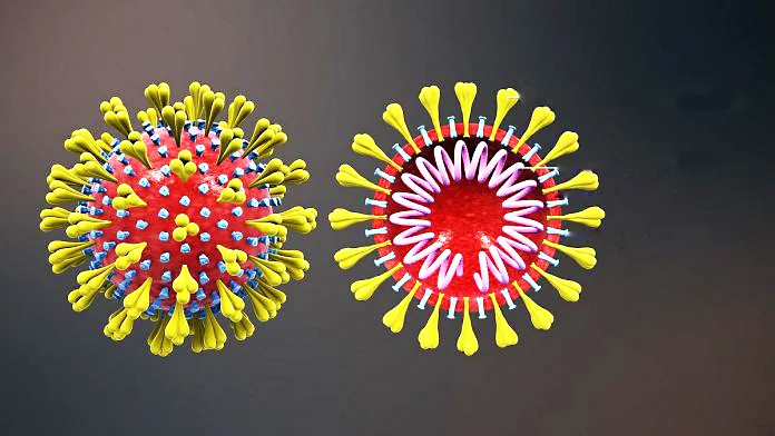 पुन्हा उद्रेकाची लक्षणे