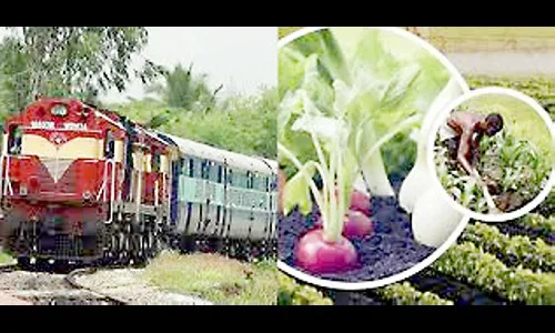 राज्य फलोद्यानाचे, पण धोरण शून्याचे