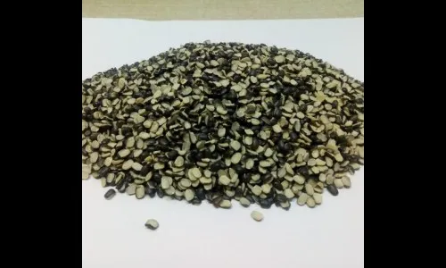 म्यानमारमध्ये सत्तापालट…भारतीयांना फटका