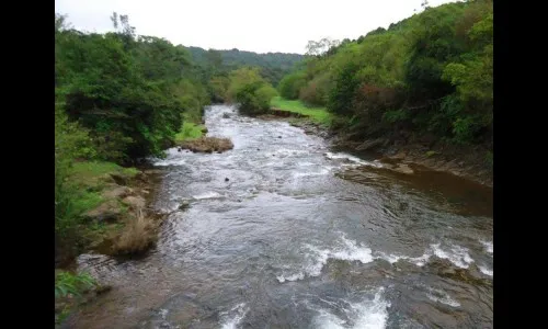 कर्नाटकमुळे म्हादईचा अहवाल रेंगाळला