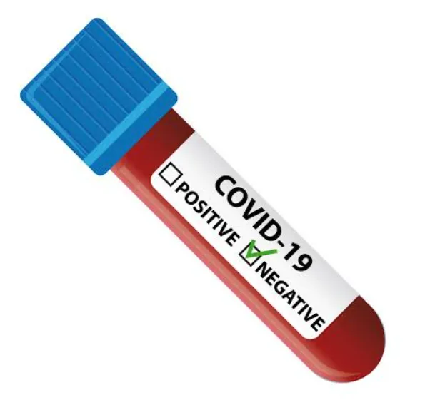 पुणे विभागातील 6 लाख 10 हजार 992 रुग्ण कोरोनामुक्त!