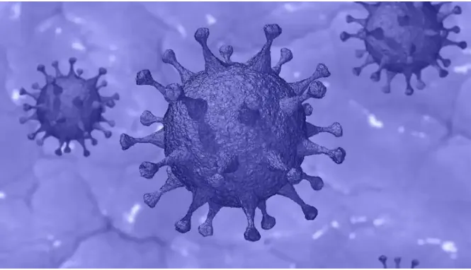 धोका वाढला : पंजाबमध्ये मागील 24 तासात 2, 039 नवे रुग्ण ; 35 मृत्यू