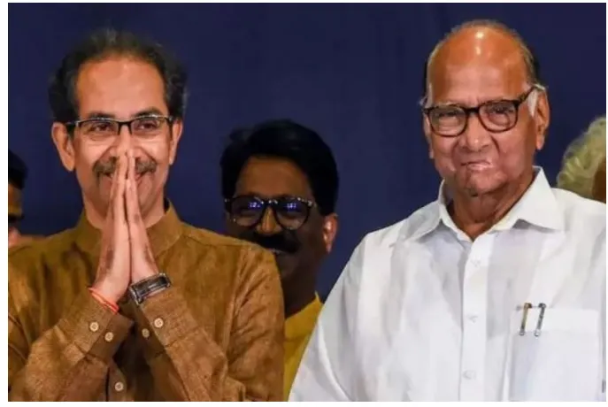 … मुख्यमंत्री पवारांच्या ताटाखालचे मांजर झाले आहेत! : भाजप