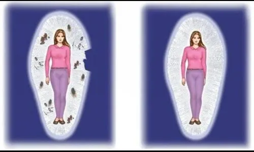 ऊर्जा, ऊर्जादेह व प्राणिक उपचार