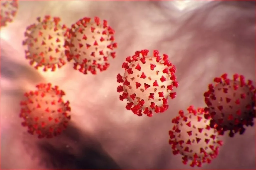 कोरोना रुग्णसंख्येत ब्राझील जगात दुसऱ्या स्थानी