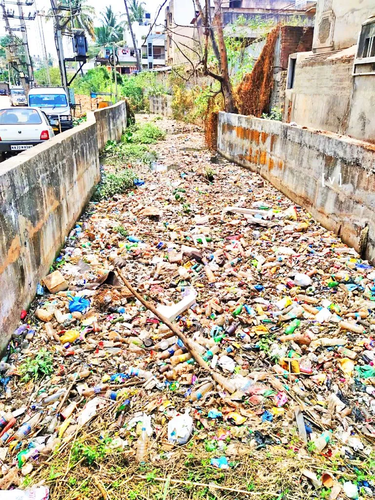 नाल्यात कचरा साचण्यास कारणीभूत कोण?