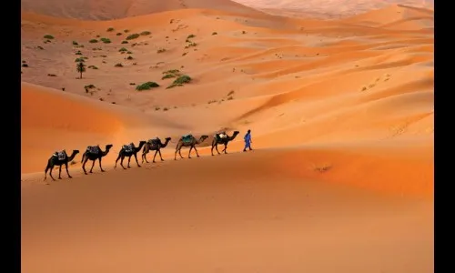 50 वर्षांनी परतणार प्रेयसी