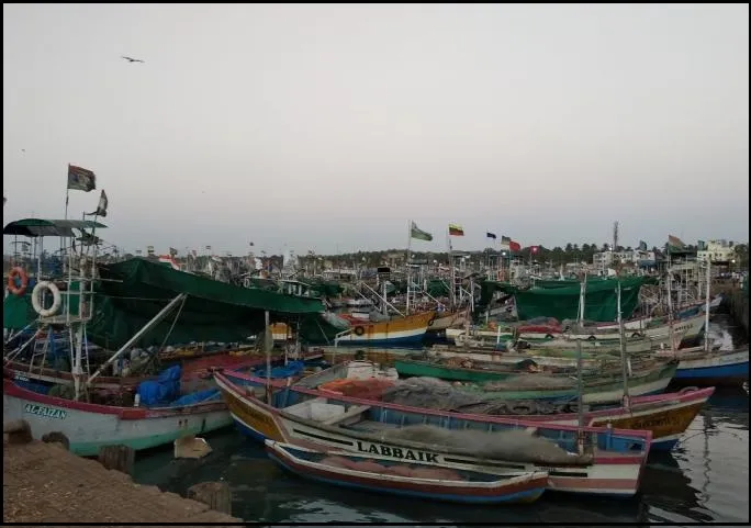 रत्नागिरी : टाळेबंदीमुळे मिरकरवाडा बंदरावर शुकशुकाट
