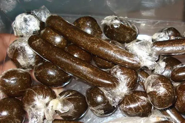 मुंबईत 1.18 कोटींचा चरस जप्त