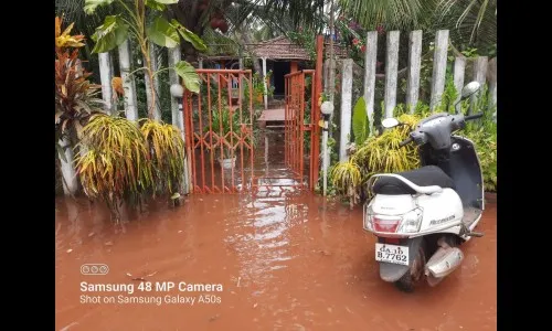 काणकोणच्या किनारी भागाला वादळाचा तडाखा