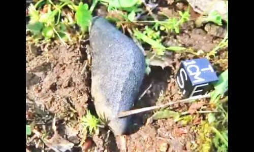 कोटय़वधी वर्षे जुन्या उल्केत पाण्याचा अंश