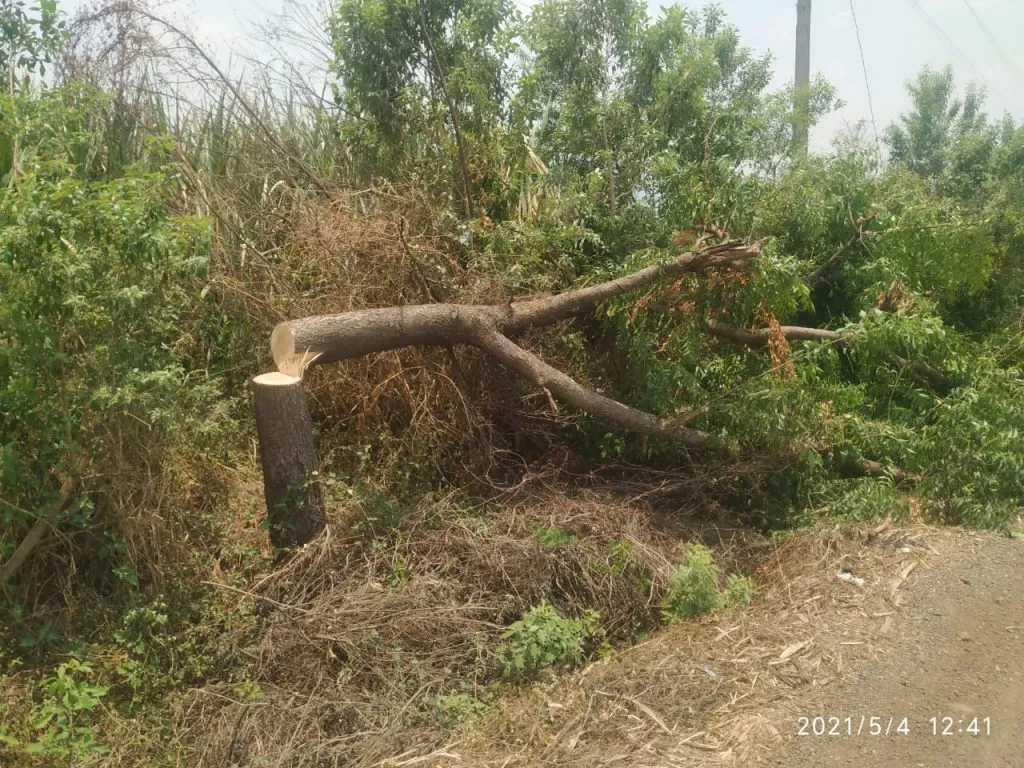 महावितरणची दंडेलशाही