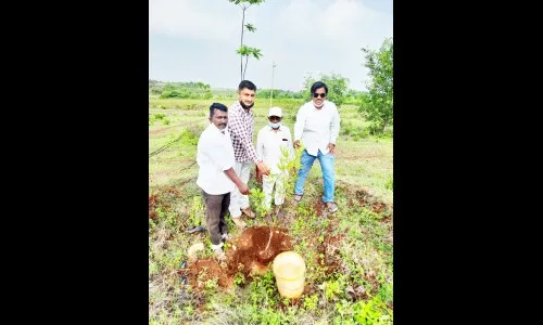 ऊर्जा फाऊंडेशन वृक्ष संवर्धनाचा संकल्प