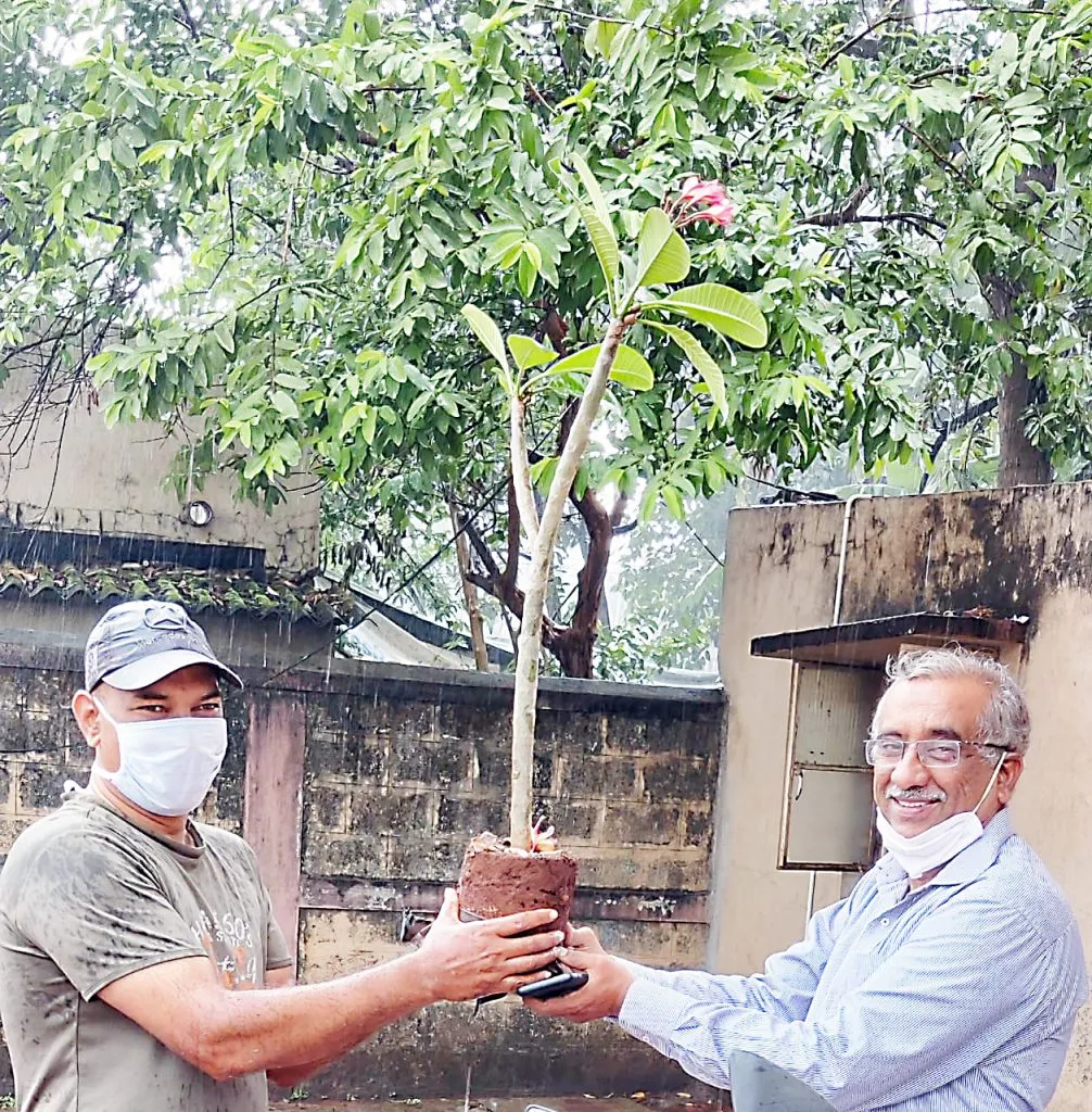 शास्त्रीनगर भागात गुजरात भवन येथे वृक्षारोपण