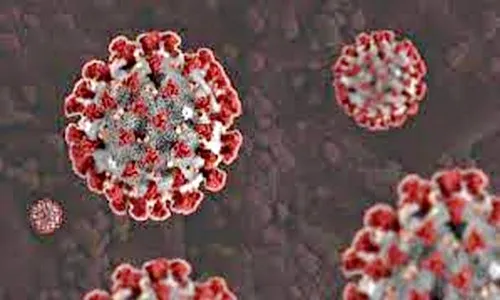 सिंधुदुर्गात ‘डेल्टा प्लस’ रुग्ण आढळला