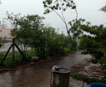 शिरोळसह परिसरात पाऊसाची हजेरी, शेतकरी वर्गात समाधान