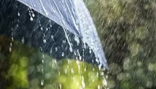 महाराष्ट्रात येत्या पाच दिवसांत मुसळधार पावसाची शक्यता