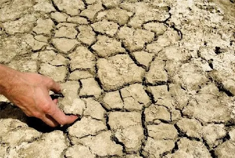 मिरज तालुक्यातील ‘या’ गावांना क्षारपड जमिनींसाठी 27.73 कोटींचा निधी