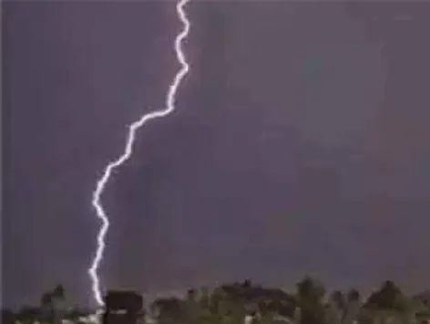 उत्तर प्रदेश, राजस्थानमध्ये वीज कोसळून ४९ जणांचा मृत्यू