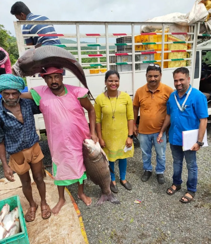 चापोली धरणातून 700 किलो मासे पकडले