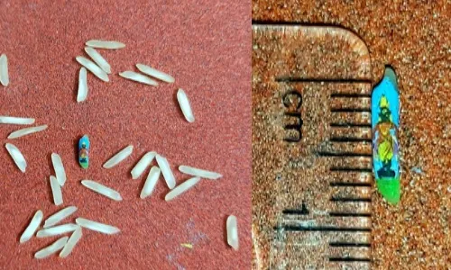 विठ्ठल….! चराचरात…कणाकणात